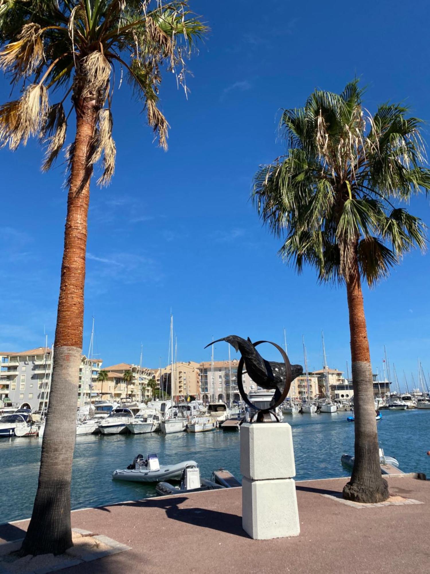 Chez Virginie : Appartement Lumineux Au Calme. Fréjus 외부 사진